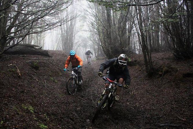 Mountain Bike Adventure in Punta Arenas - Who this tour is perfect for, and who should think twice