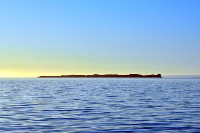 Navigation Magdalena Island and Marta - Punta Arenas wildlife, but in a tight morning window