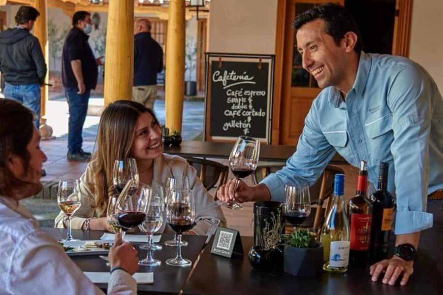 Palmilla: Wine and Flavors Tour - Key Highlights You’ll Actually Notice