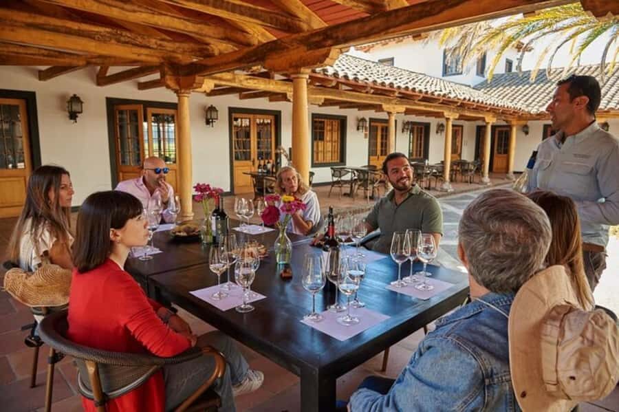 Palmilla: Wine and Flavors Tour - Vinification explained at the visiting center: plain talk that helps you taste