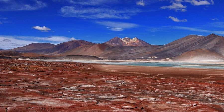 Piedras Rojas, Altiplanics Lagoons & Salar Full Day Tour - Salar de Talar and Piedras Rojas: Why the Purple Stones Feel Strange (In a Good Way)