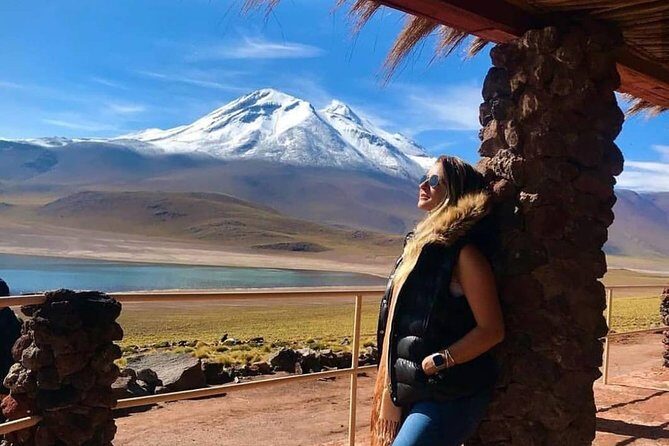 Piedras Rojas and Altiplanic Tour - Laguna Miscanti and Miñiques: high-altitude water with wildlife value