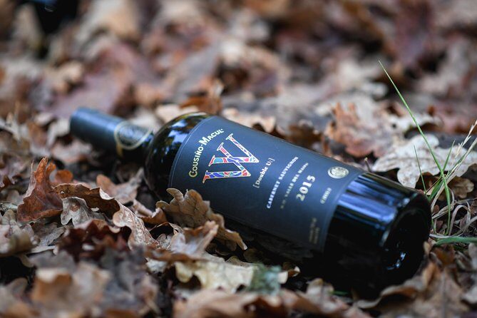 "Premium Wine Tour" Viña Cousiño Macul Official english - Key highlights you’ll feel right away
