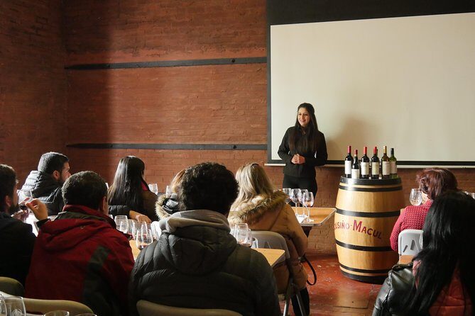 "Premium Wine Tour" Viña Cousiño Macul Official english - Viña Cousiño Macul: a premium, one-stop Santiago wine visit