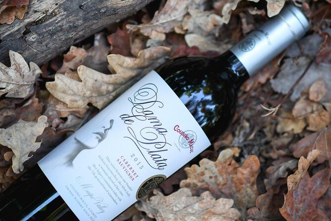 "Premium Wine Tour" Viña Cousiño Macul Official english - The tastings: three high-quality wines and food pairing