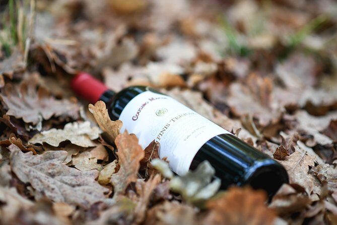 "Premium Wine Tour" Viña Cousiño Macul Official english - Price and value: what $45 buys you in real terms