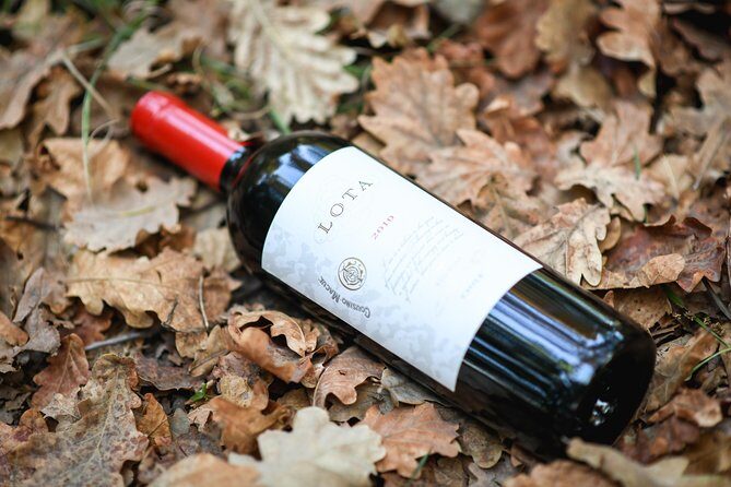 "Premium Wine Tour" Viña Cousiño Macul Official english - Getting there in Santiago: using Peñalolén as your anchor