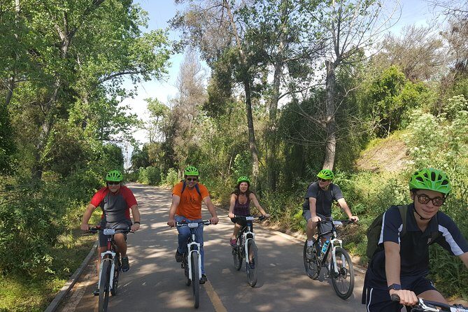 Private Full-Day Bike Tour of Santiago Cultural 5-6 hrs - Markets and fish at the Central Market zone