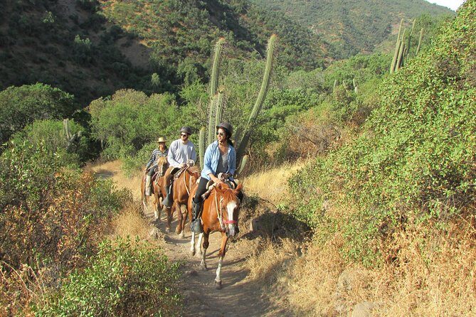 Private Horseback Adventure in the Andes, with Picnic & Wine - Key Highlights Worth Your Time