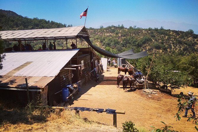 Private Horseback Adventure in the Andes, with Picnic & Wine - Stop in the Andes: Paths, Streams, Birds, and Viewpoints