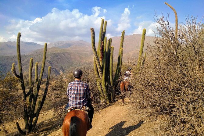 Private Horseback Adventure in the Andes, with Picnic & Wine - The Arriero Ranch Stop: Coffee, Family Welcome, and the Picnic Spread