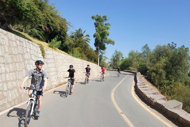 Private San Cristobal Hill & Metropolitan Park Santiago Bike Tour - Parque de las Esculturas: art in open air