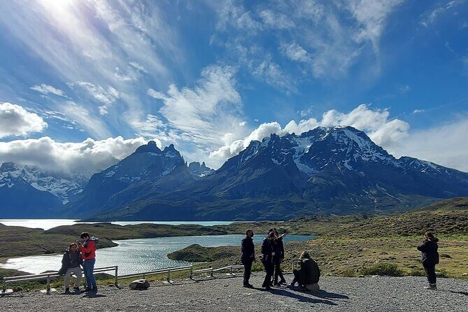 Private Torres del Paine & Milodon, departing from Punta Arenas - Wildlife Chances: What You’re Most Likely to See