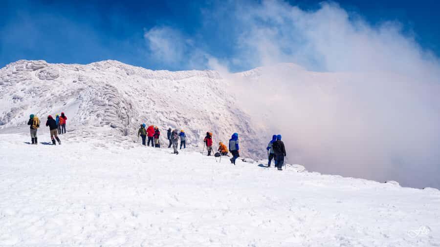Pucón: Ascent to Villarrica Volcano - Price and value: what $185 covers (and what you still need)
