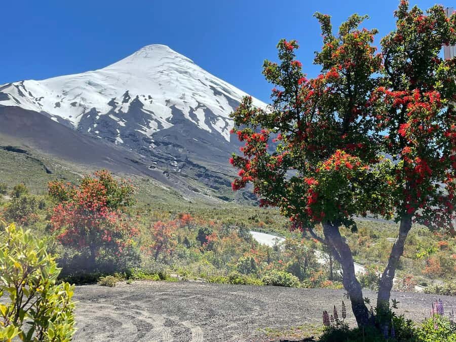 Puerto Montt: Osorno Volcano Tour Shore Tour in Private - From Puerto Montt port to the Lakes Region, fast