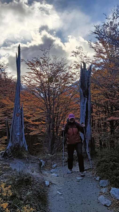 Puerto Natales: Base of the Towers Trekking Experience - Who Should Book This Trek (and Who Should Skip It)