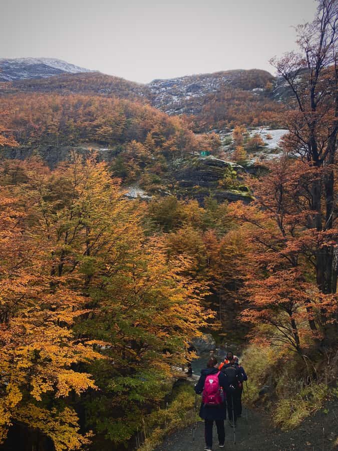 Puerto Natales: Base of the Towers Trekking Experience - Return to Puerto Natales: Same Trail Back, But With a Different Kind of Fatigue