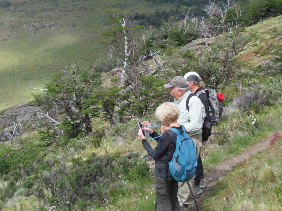 Puerto Natales: Cerro Benitez Half-Day Hike with Condors - What This Is Great For: Warm-Up Trek Energy in Real Patagonia