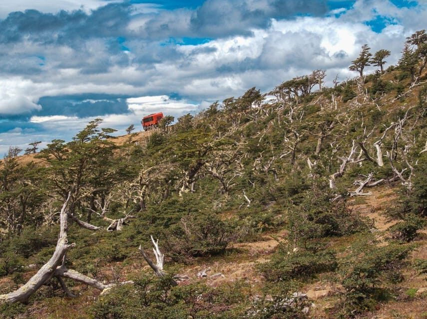 Puerto Natales: Cerro Dorotea 8x8 Tour with Panoramic Views - What to bring (and what not to bring)