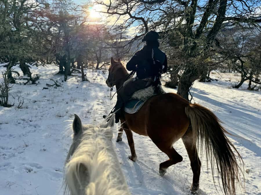 Puerto Natales: Full Day Horse Riding to the Mountains - The Morning Ride: Forests, Lakes, and River Crossings