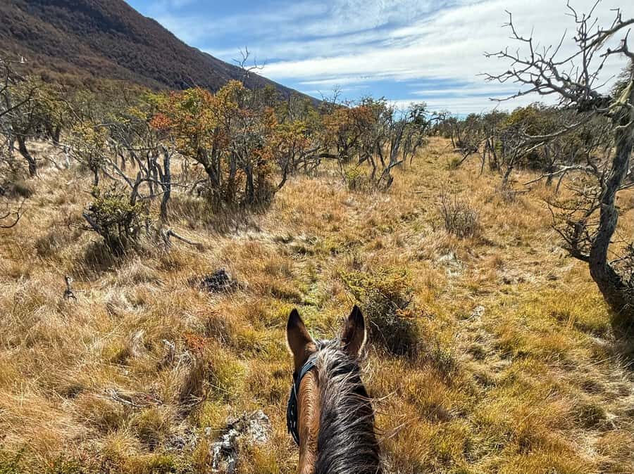 Puerto Natales: Full Day Horse Riding to the Mountains - The Mountain-Top Section: Paine Massif Views and Condor Chances
