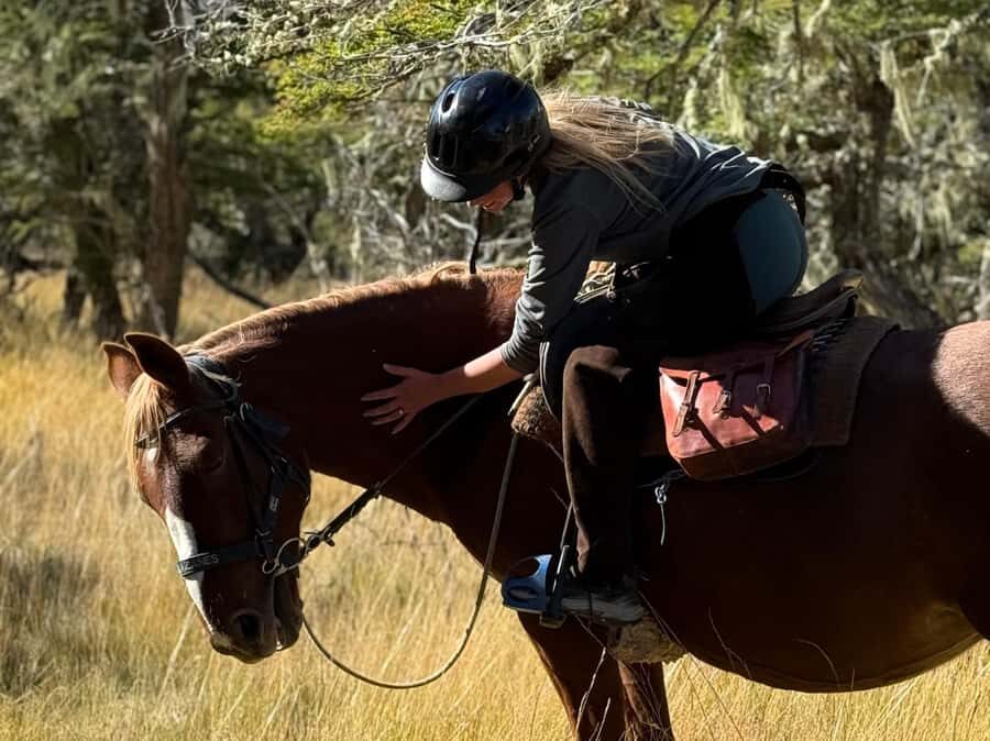 Puerto Natales: Full Day Horse Riding to the Mountains - Price in Plain Terms: Is $360 Worth It?