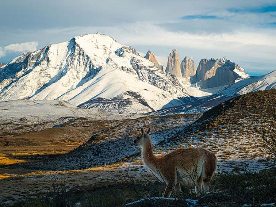 Puerto Natales: Full-Day Torres del Paine Tour - Why This Torres del Paine Day Tour Works from Puerto Natales