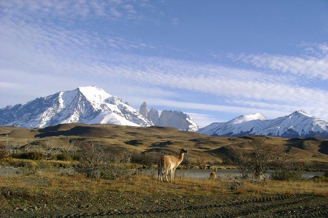 Puerto Natales: Full day tour Torres del Paine - Getting to the park: the rhythm of stops and photo breaks