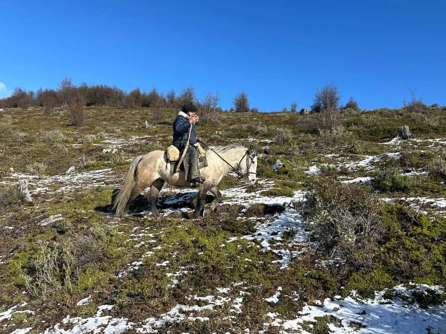 Puerto Natales: Horseback Riding to Dorotea Fjord Lookout - The Ride Through Native Forests and Meadows (What it feels like)