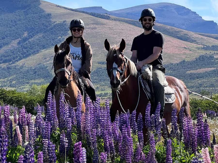 Puerto Natales: Horseback Riding with Horse Connection - Key things that make this ride different