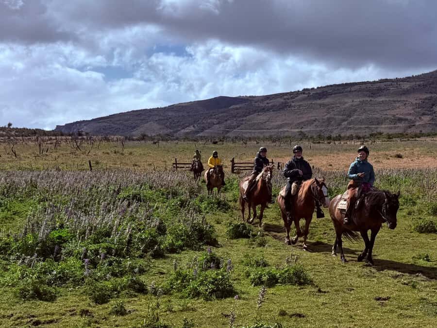 Puerto Natales: Horseback Riding with Horse Connection - What you’ll learn from horse connection (and why it feels grounding)