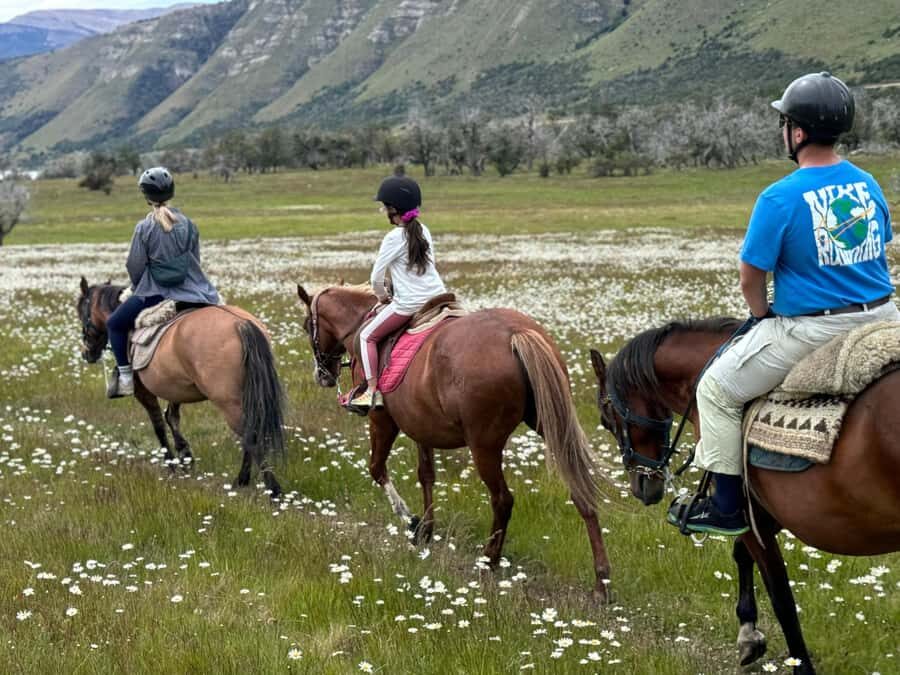 Puerto Natales: Horseback Riding with Horse Connection - Choose your tack: English, huaso, or gaucho