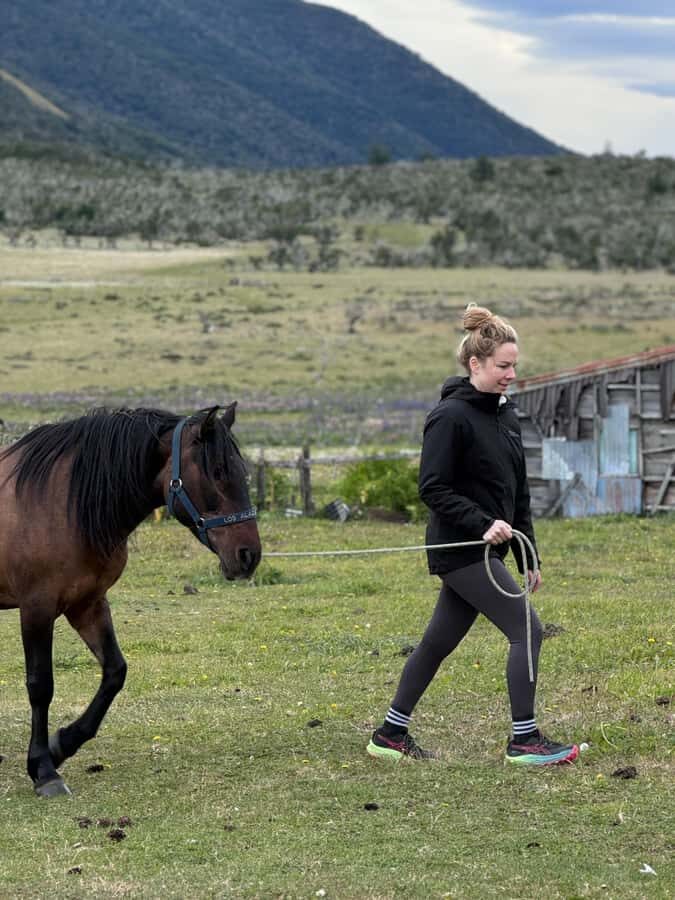 Puerto Natales: Horseback Riding with Horse Connection - Brushing, saddling, and that calm-before-the-ride moment