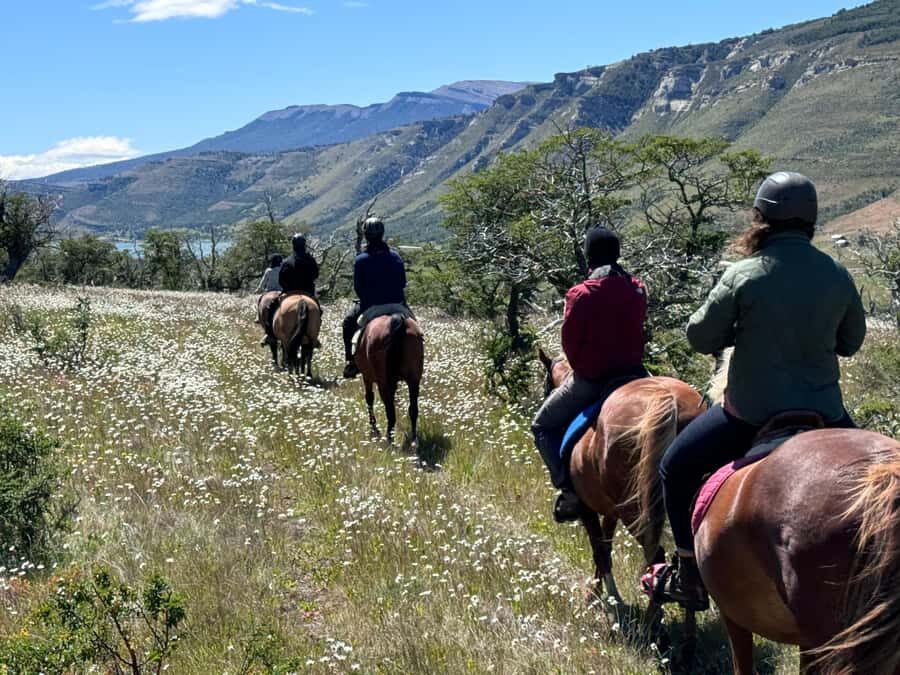 Puerto Natales: Horseback Riding with Horse Connection - Pasture instruction: beginner support vs. rider readiness checks