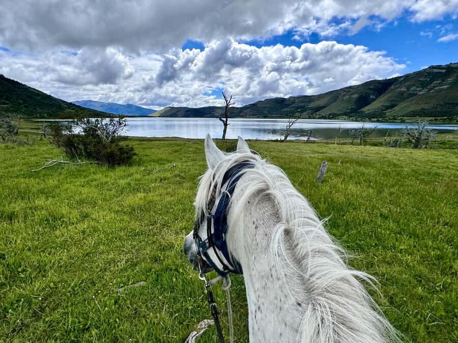 Puerto Natales: Horseback Riding with Horse Connection - Riding toward Mirador Lago Figueroa: the history and the views