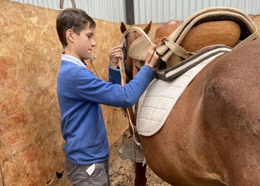 Puerto Natales: Horseback Riding with Horse Connection - Full-day option: 6–7 hours of riding for confident trot-and-canter riders