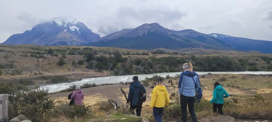 Puerto Natales: Torres del Paine Full Day Tour - Key highlights worth planning around
