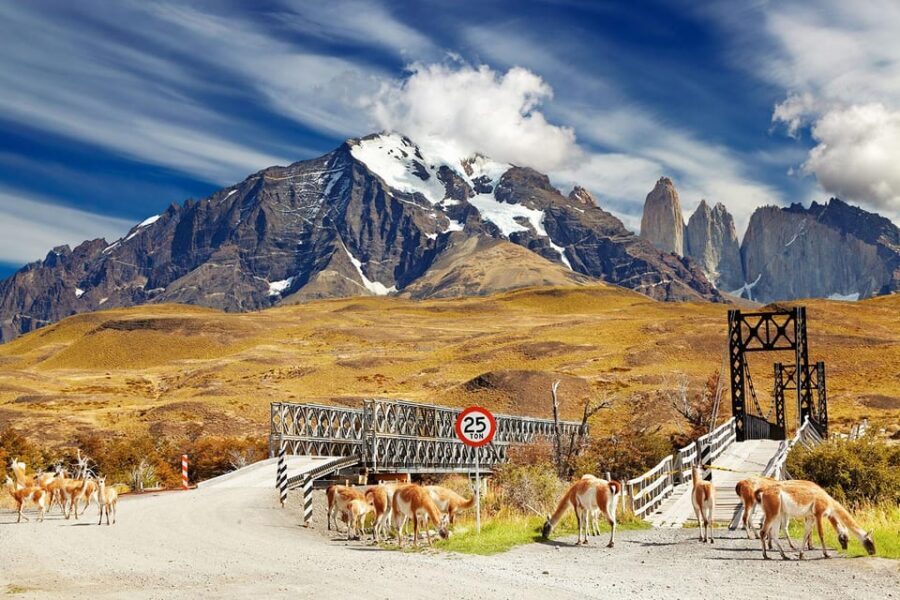 Puerto Natales: Tour Package (Full Day + Base Torres + Grey) - A 3-Day Big-3 Plan That Fits Limited Time