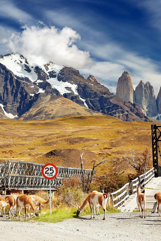 Puerto Natales: Tour Package (Full Day + Base Torres + Grey) - Day 3: Grey Glacier Boat Navigation on Lake Grey