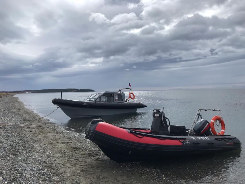 Punta Arenas: Dolphin & Wildlife Watching - Gear and comfort in Punta Arenas wind and cold