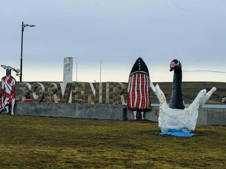 Punta Arenas: Full Day Tierra del Fuego & King Penguins - Pinguino Rey Natural Reserve: The Rules That Protect Wildlife