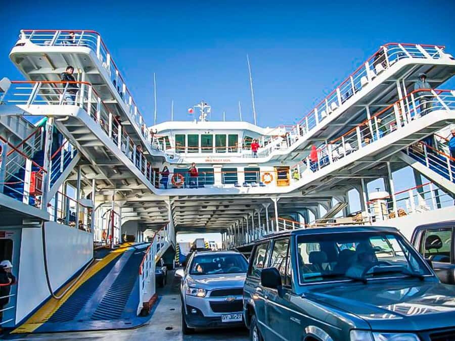 Punta Arenas: Full Day Tierra del Fuego & King Penguins - Getting There and Back: Ferry Transfers, Timing, and Comfort