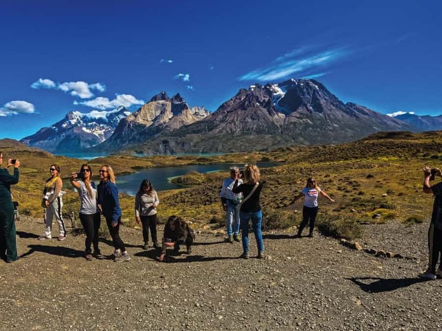 Punta Arenas: Full-Day Torres del Paine Tour - Pehoé Viewpoint: The Practical Place to Get the Big Picture