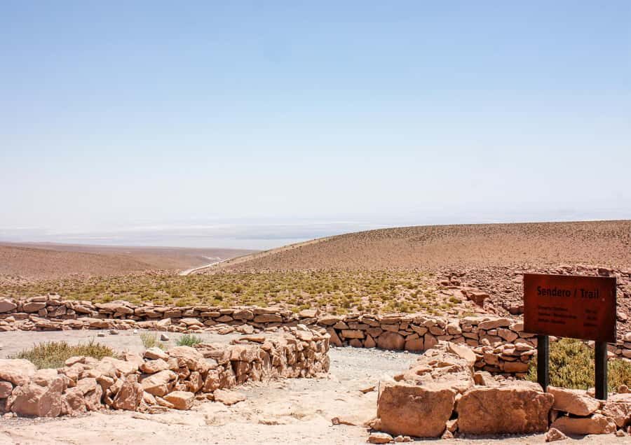 Puritama Hot Springs - Tour : San Pedro de Atacama - Chile - Your guide explains the geothermal story (and the plants)