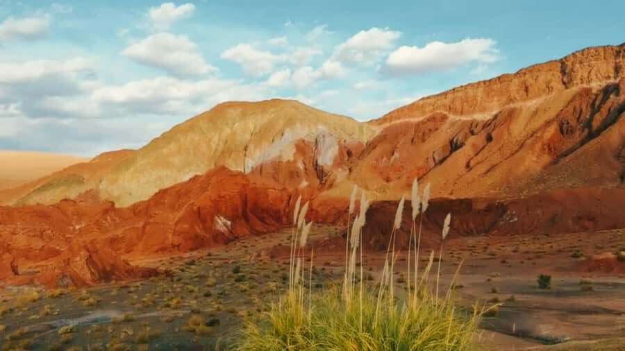 Rainbow Valley Tour: Mesmerizing Colors and Flavors - Valle del Arcoiris Photo Stop: Aperitif, Coffee, and First Glimpses