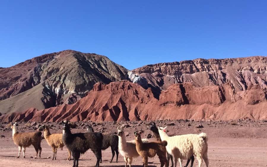 Rainbow Valley Tour + Petroglyphs (Yerbas Buenas) - Yerbas Buenas petroglyphs: rock art you can walk around