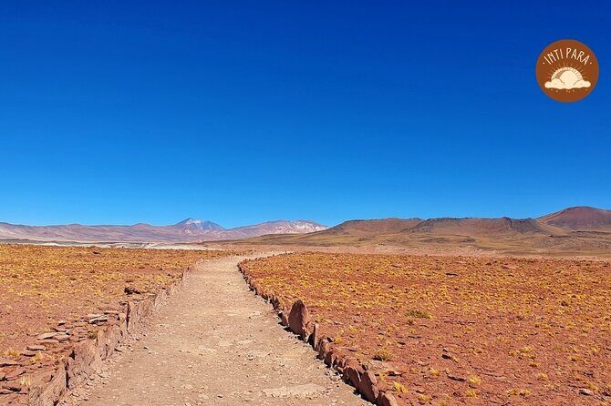Red Stones and Altiplanic Lagoons - Stop 1: Miscanti Lake and Chaxa Lagoon for the Altiplano Wow