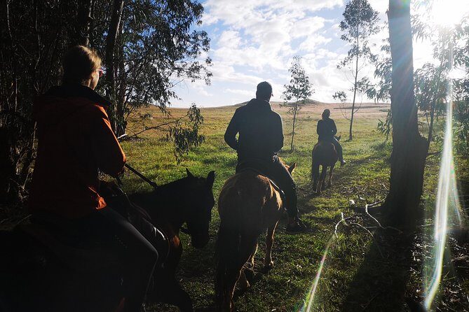 Ride to the highest point on the island for sunset - Price and value: what you get for $149