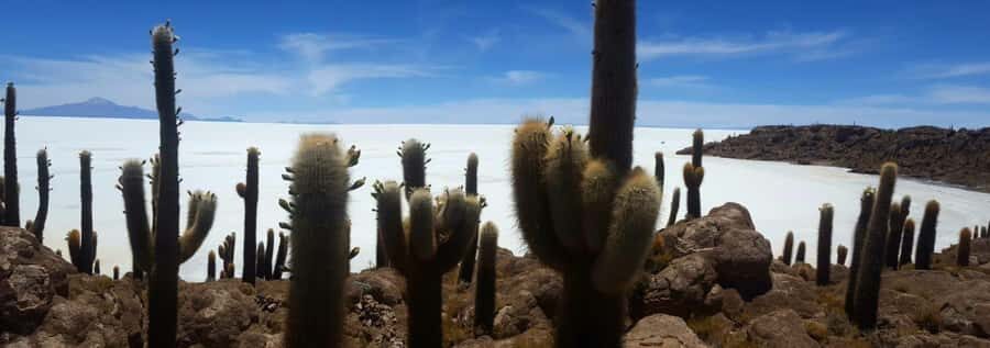 Roundtrip to the Uyuni Salt Flat and the Colored Lagoons - Price and logistics: what $458 covers, and what you should budget extra