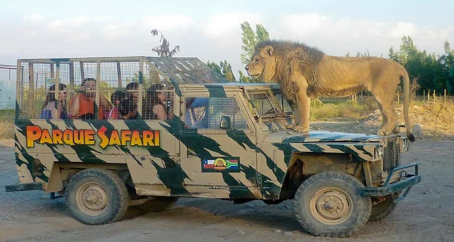 SAFARI PARK-TOUR RANCAGUA : CHILE - The car safari loop: how you actually see the animals